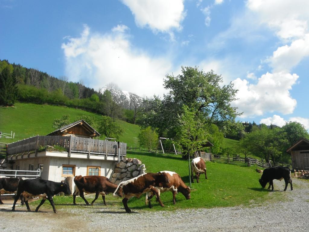 Berghof Thurnergut Spital Am Pyhrn Eksteriør bilde